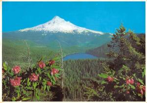 BT13838 Spectacular view of Lost lake and mt hood      USA  Oregon