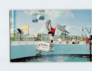 Postcard Feeding time at Ocean World, Fort Lauderdale, Florida