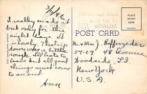 Bougainvillea Blossons Enrich Bermuda's Highways Bermuda Postcard