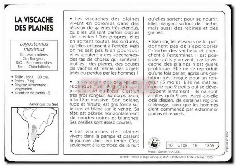 The map vizcacha Des Plaines This large rodent from South & # 39Amerique WWF