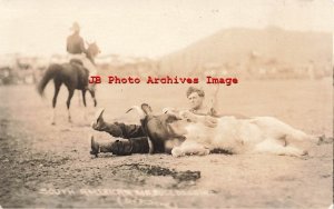 Unknown Location, RPPC, Rodeo, Cowboy South American Kip Bulldogging, Doubleday