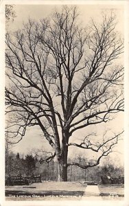 Lincoln Oak Lincoln Memorial Park, real photo Louisville Kentucky  