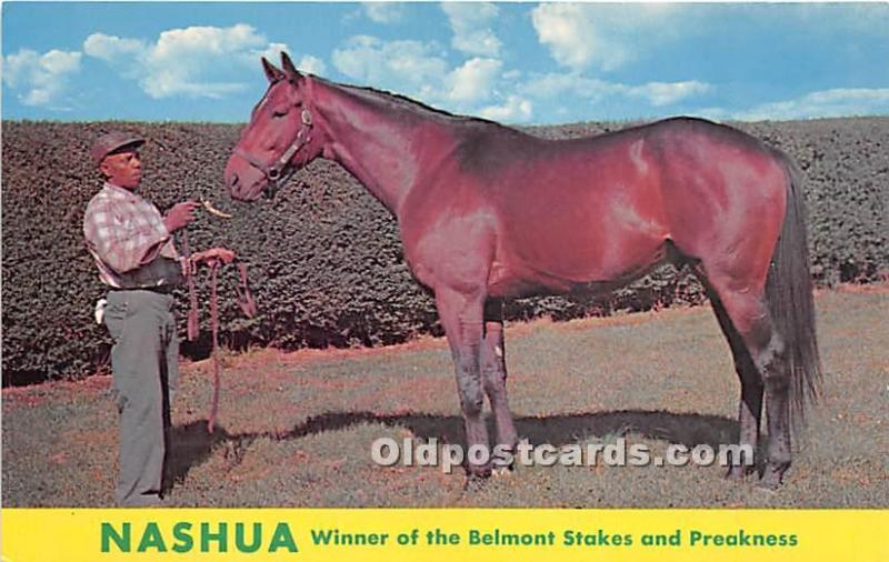 Nashua, Winner of the Belmont Stakes and Preakness Lexington, KY , USA Horse ...