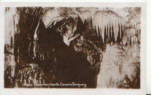 Devon Postcard - Organ Chamber - Kents Cavern - Torquay - Real Photo - TZ11868