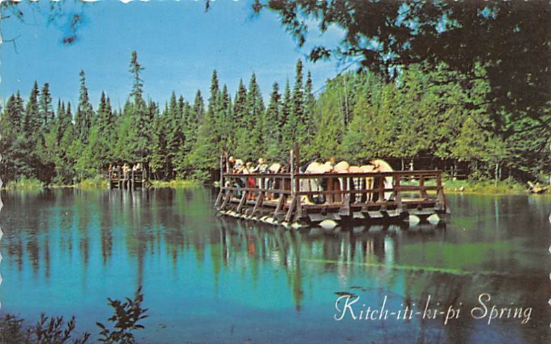 Kitchi Tiki Pi  The Big Spring Palms Book State Park - Manistique, Michigan MI