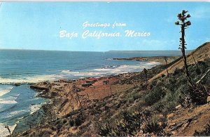 Postcard PANORAMIC SCENE Baja California Mexico AJ4392