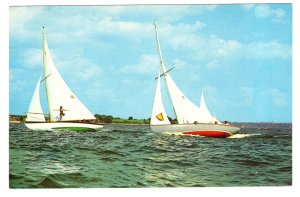 Heeling in a Stiff Breeze, Sailing