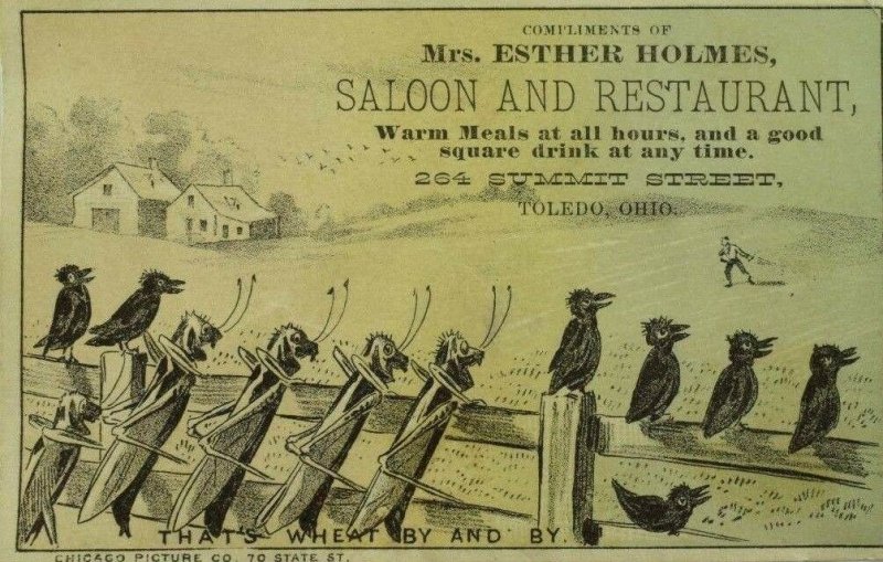 1870's Mrs. Esther Holmes Saloon & Restaurant Toledo OH Crows Grasshoppers P103