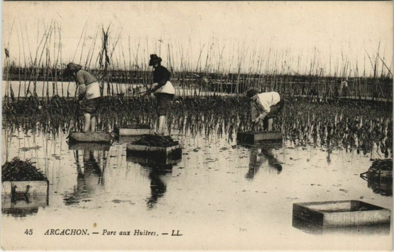 CPA ARCACHON-Parc aux Huitres (27699)