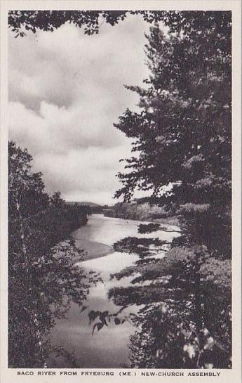 Maine Fryeburg Saco River From Fryburg New Church Assembly Albertype