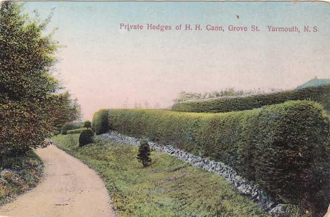 Private Hedges of H. H. Cann on Grove Street Yarmouth NS Nova Scotia Canada - DB