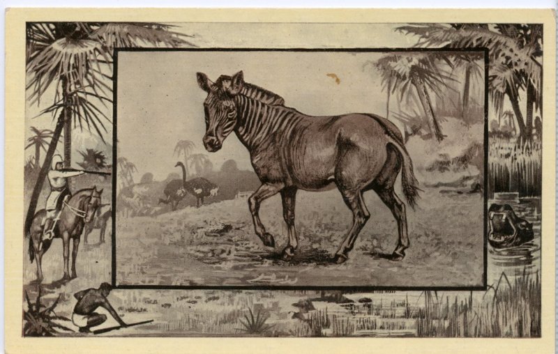 Theodore Roosevelt Safari to Africa, Mintz, 1909