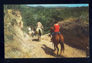 Leakey, Texas/TX Postcard, Riding Horseback Trail, Garner State Park
