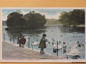 c1910 - Feeding The Ducks in a London Park