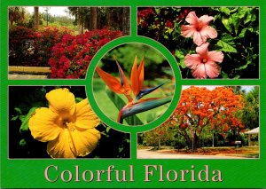Florida Greetings Multi View Colorful Flowers