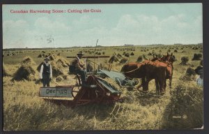 Canada Canadian Harvesting Scene Cutting the Grain DEERING Combine Horses pm DB