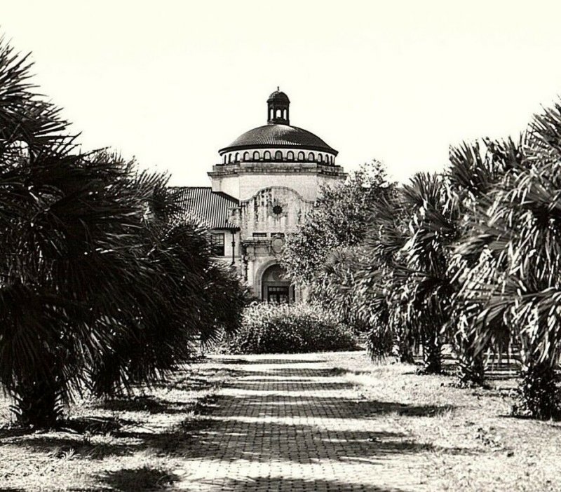 C.1910 RPPC Small Palms Valdosta, GA Postcard P134 