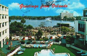 USA Florida Greetings from Orlando Vintage Postcard C349