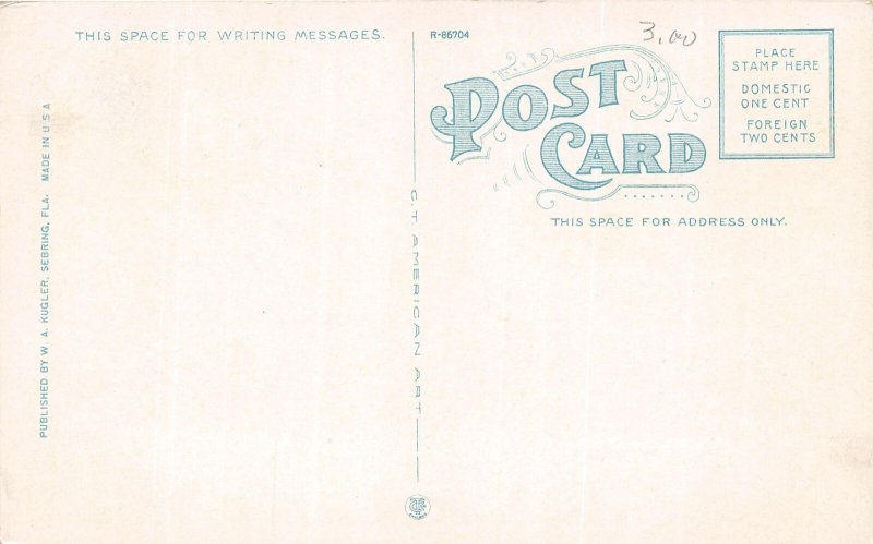 H25/ Sebring Florida Postcard c1910 Lake Jackson from Arrowhead Hotel 2