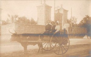St Augustine Florida People in Ox Wagon Cart Real Photo Vintage Postcard AA28865