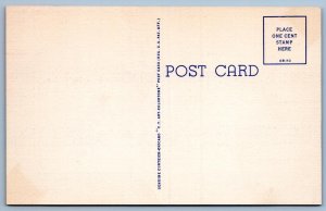 MICHIGAN MAP LINEN POSTCARD HELLO FROM THE NORTHERN PENINSULA*CURT TEICH*1950's