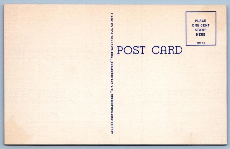 MICHIGAN MAP LINEN POSTCARD HELLO FROM THE NORTHERN PENINSULA*CURT TEICH*1950's