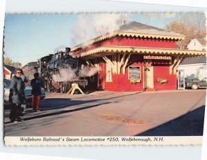 Postcard Wolfeboro Railroad's Steam Locomotive #250 Wolfeborough New Hampshire