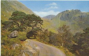 Scotland Postcard - The Road to The Hills - Glen Nevis   ZZ727