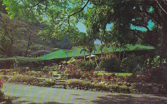 Hawaii Honolulu Waioli Tea Room Manoa Valley 1951 Hippostcard