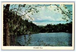 Cobb Island Maryland MD Postcard Greetings Wooded Cover Lake Trees Scene 1967