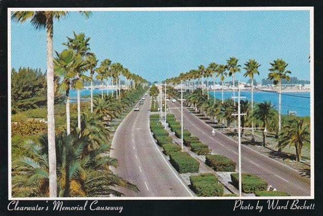 Florida Clearwater Palm Lined Memorial Causeway Looking West