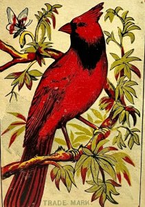 1880-1890s WB Higgins Beautiful Cardinal Laundry Victorian Trade Card