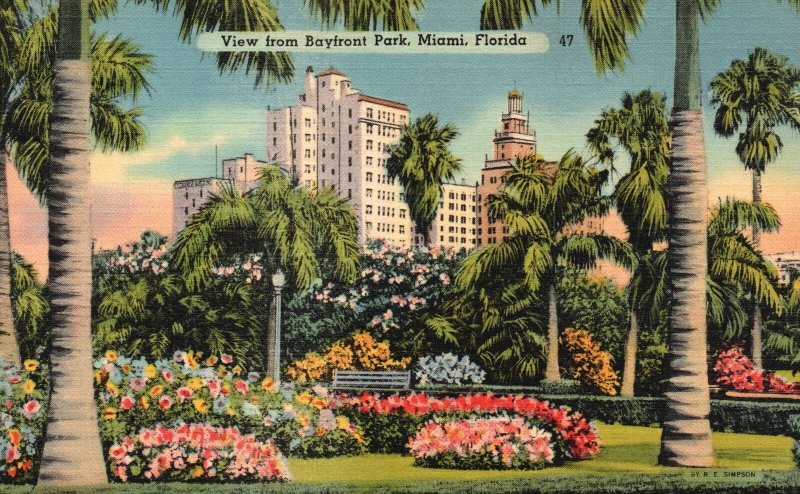 Vintage Postcard View From Bayfront Park Flower Gardens Palm Trees Miami Florida 