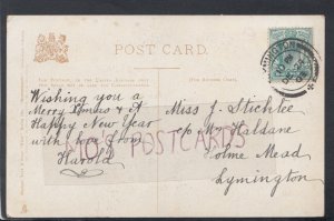 Genealogy Postcard - Sticklee / Haldane - Holme Mead, Lymington, Hants RF5366