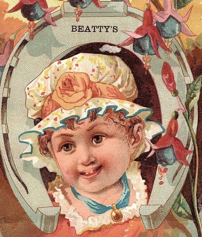 Engraved Beatty's Organs & Pianos Beethoven Organ Girl Victorian Trade Card &B