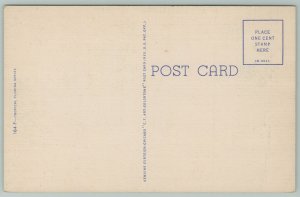 Florida~Moonlight Scene~1940s Linen Postcard