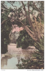 Laguna del Rey , Hotel del monte, DEL MONTE , California , 00-10s