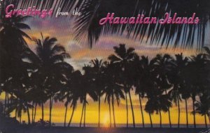 Hawaii Greetings With Sunset Through The Palms 1967