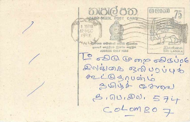 Entier Postal Stationery Postal Sri Lanka Ceylon Lion