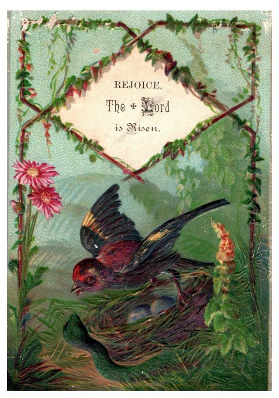 1880s Embossed Victorian Easter Card Bird Nest Eggs & Snake F125