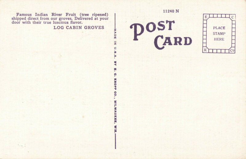 Postcard Log Cabin Groves Oak Hill Florida