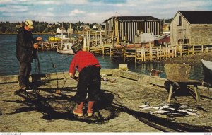 NOVA SCOTIA , Canada , 1950-60s ; Fishing , Eastern Shore