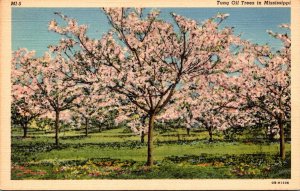 Mississippi Tung Oil Trees In Bloom Curteich