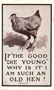 Vintage Postcard 1912 If the Good Die Young, Why Am I Such An Old Hen?