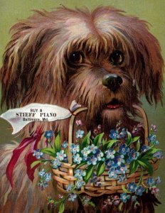 STIEFF PIANOS BALTIMORE MD*H I SHANK*HARRISBURG PA*SCRUFFY DOG BASKET OF FLOWERS