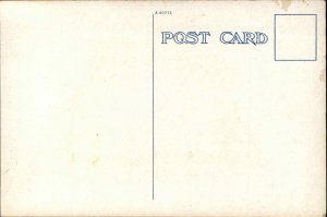 Chico California CA Hotel Oaks c1910 Vintage Postcard