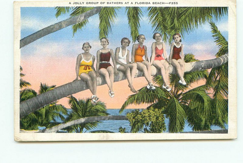 Bathing Beauties on Florida Beach Palm tree