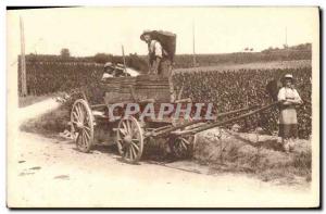 Old Postcard Folklore Wine Harvest in Burgundy Plain hood