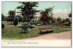 Williamsport Pennsylvania Postcard View In Brandon Park Scene c1905's Antique