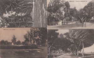 Ismailia Jardins Gardens Avenue De Mohamed Aly 4x Antique Postcard s